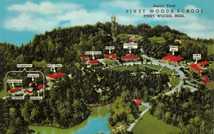 PINEY WOODS SCHOOL MISSISSIPPI BLACK AMERICANA POSTCARD (c. 1970s)