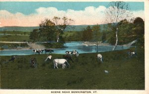 Bennington Vermont VT, Cow Animal, Green Pasture, Countryside, Vintage Postcard