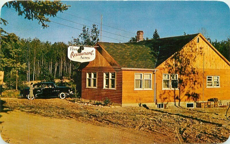 Ontario Canada Eagle River 1950s Wilson Publishers Automobile Postcard 21-5670