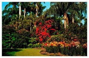 Postcard GARDEN SCENE Sunken Gardens Florida FL AT3443