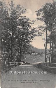 The Gateway of Trees on the State Road Mount Lebanon, NY, USA 1908 Missing St...