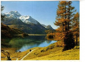 Silsersee Engadin, Lake Sils  Engadine valley, Grisons, Alps, Switzerland