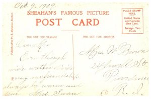 Dog ,Spaniels ,  The Three Friends