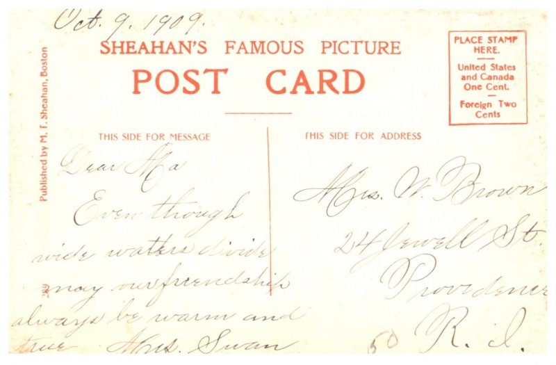 Dog ,Spaniels ,  The Three Friends