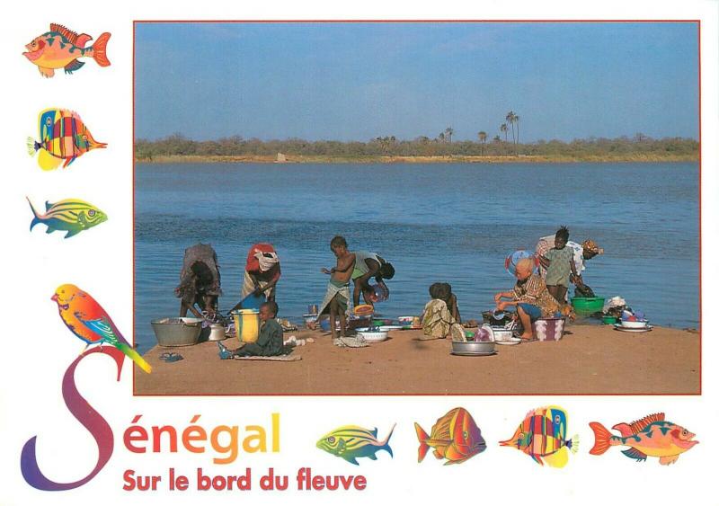 Charms and colors of Senegal postcard