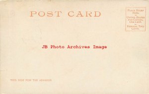 313627-Black Americana, Detroit Photographic No 6741, UDB, Mammy's Pet