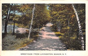 Greetings from Livingston Manor Willowemoc New York  