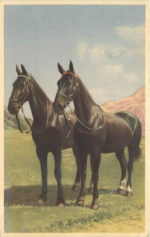 1952 Horses Tiny Town Dogs Peter Pipers Children Advertising Postcard 22-4957