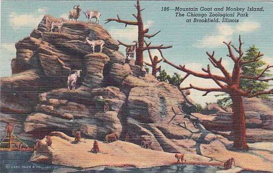 Illinois Brookfield Mountain Goat and Monkey Isalnd The Chicago Zoological Pa...