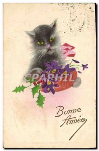 Old Postcard Cat Kitten Cats