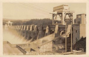 RPPC Gates & Fish Ladder BONNEVILLE DAM Columbia River,  Oregon Vintage Postcard