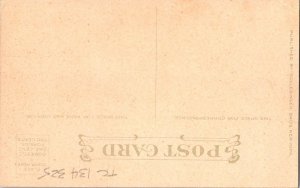 Victorian Woman, publ. Schlesinger Bros.