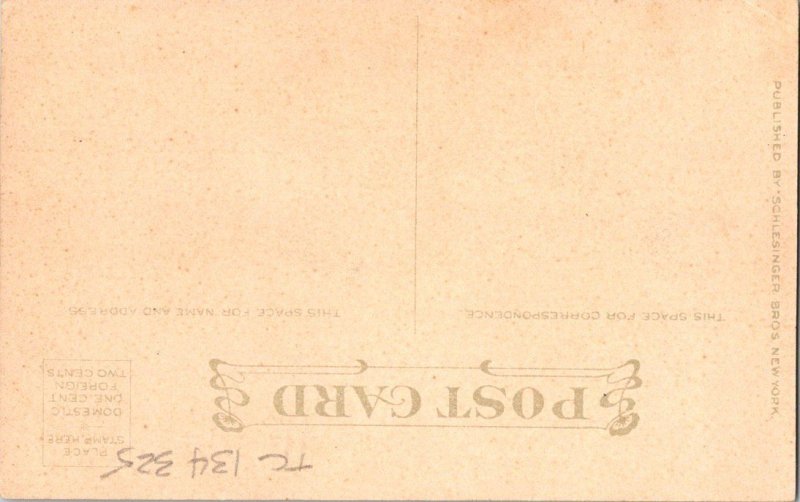 Victorian Woman, publ. Schlesinger Bros.