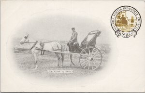 Caleche Quebec White Horse Carriage Natura Fortis Industria Postcard H15 *as is