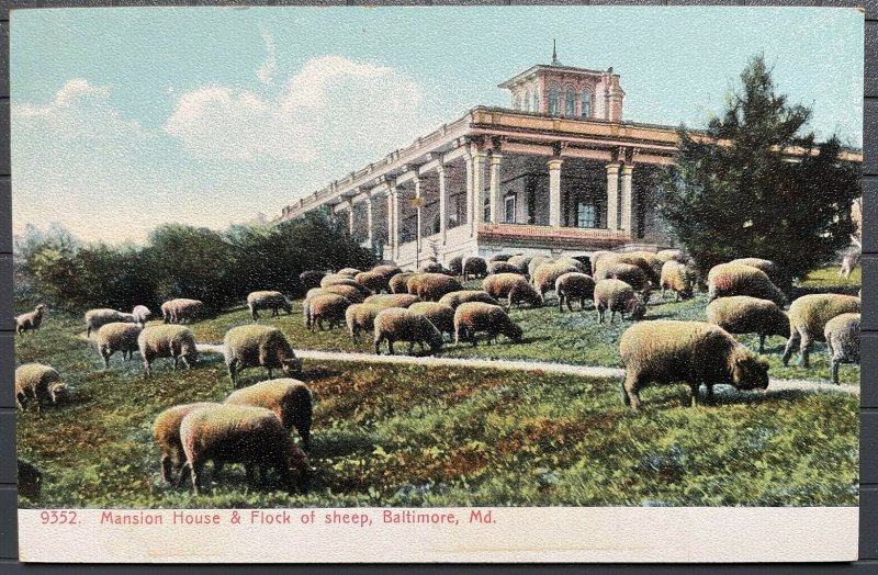 Vintage Postcard 1901-1907 Mansion House & Flock of Sheep Baltimore Maryland