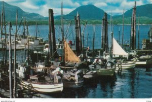 KETCHIKAN , Alaska , 1950-60s ; Fishing Fleet #2