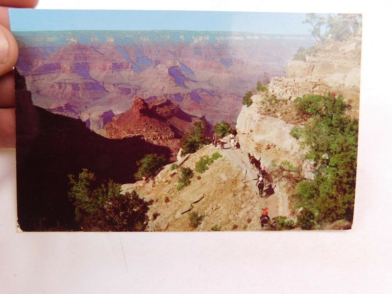 Battleship Rock & Bright Angel Trail, Arizona, Fred Harvey Vintage Postcard P28 