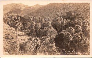 Real Photo Postcard Overview of Palm Canyon in Palm Springs, California