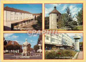 Postcard Modern Gonesse and Surroundings (Val d'Oise) The Chestnut Shopping C...