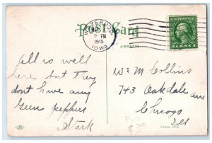 1915 Post Office And K.P. Hall Building Exterior Waterloo Iowa IA Flag Postcard