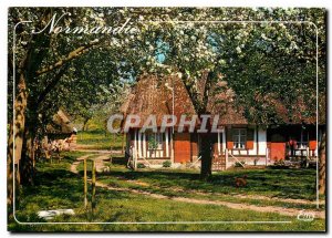 Modern Postcard Normandy Picturesque Normandy Chaumiere in spring