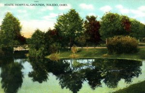 Circa 1910 State Hospital Grounds, Toledo OH. Vintage Postcard P40E