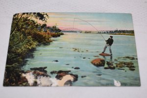 Salmon Fishing Sweden Postcard Pub. by Frederik Peterson Boston MA Germany