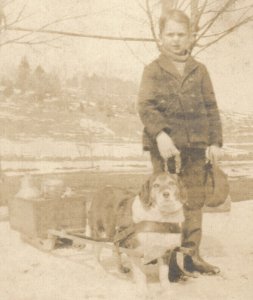 RPPC Beagle Dog Pulling Sled Real Photo Postcard