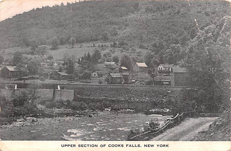 Upper Section of Cooks Falls New York United States New York