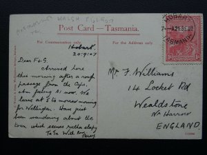 Australia Tasmania HOBART From Bellerive c1907 Postcard by J. Walsh & Sons