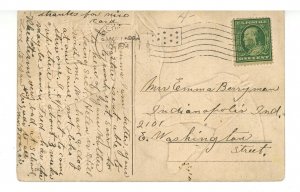 Horses & Dog   (chips)