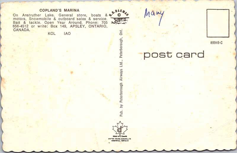 Postcard PIER SCENE Apsley Ontario ON AK2501