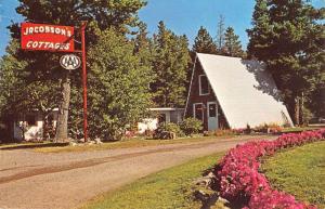 East Glacier Park Montana Jacobsons Cottages Street View Vintage Postcard K99149