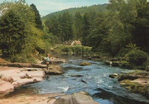 Northumberland Postcard - The River Coquet at Rothbury   RRR469