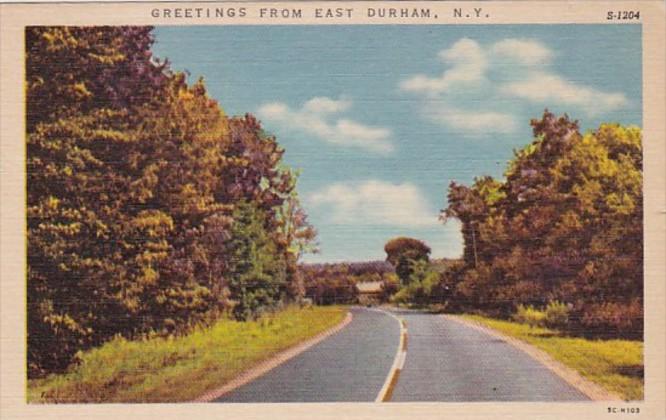 New York Greetings From East Durham Curteich