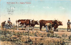 G61/ Block Island Rhode Island Postcard 1910 Digging Potatoes Farmers