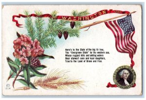 1911 State Of Big Fir Tree Evergreen Western Sea Flags Flowers Posted Postcard 