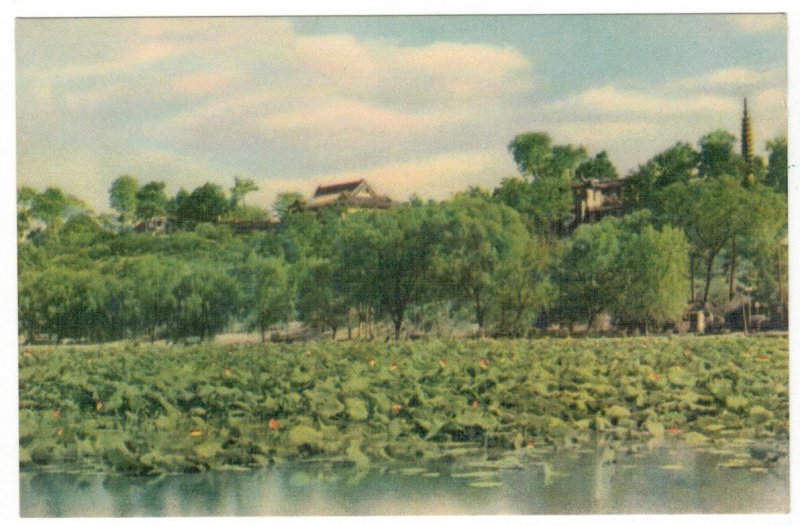 China 1956 Unused Complete Set of 12 Postcard West Lake