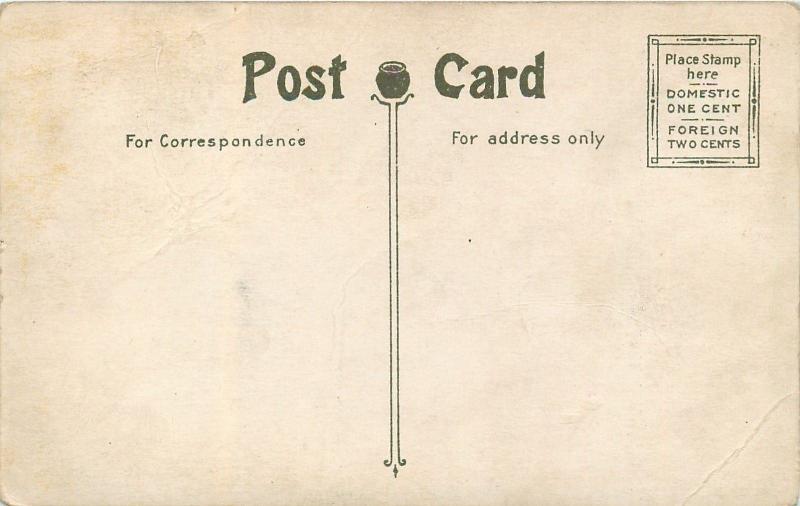 Buffalo New York~US Flags Over Telephone Building c1910 PC