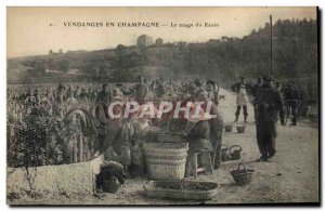 Old Postcard Folklore Harvest Vine Champagne grapes Sorting TOP