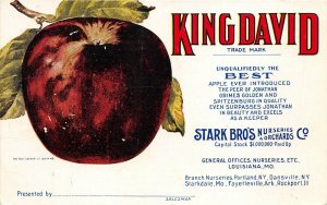 Louisiana Missouri c1910 Postcard King David Apples Stark Brothers Nurseries