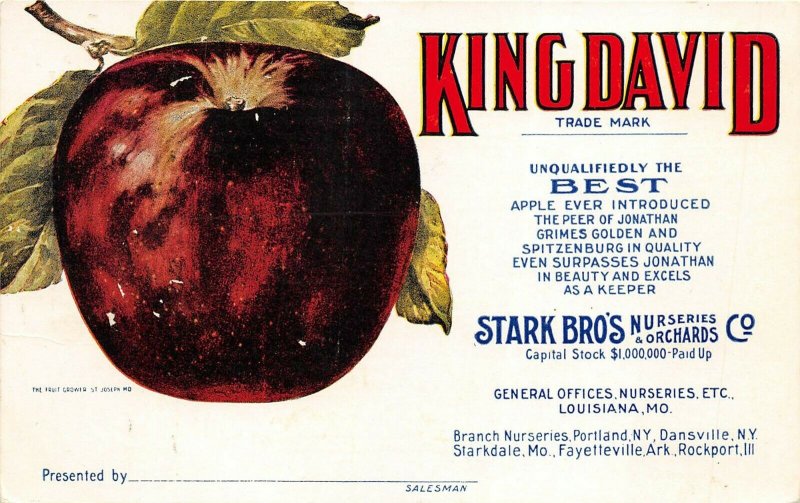 Louisiana Missouri c1910 Postcard King David Apples Stark Brothers Nurseries