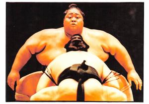 Sumo Wrestlers - 