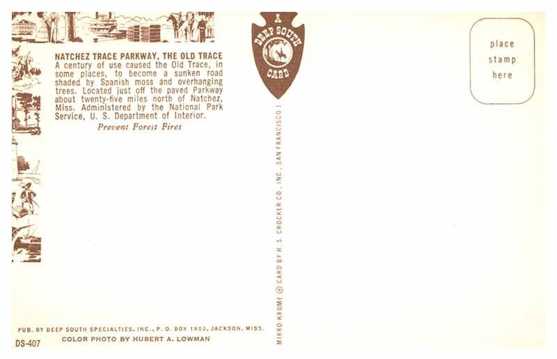 Postcard ROAD SCENE Natchez Mississippi MS AR5482