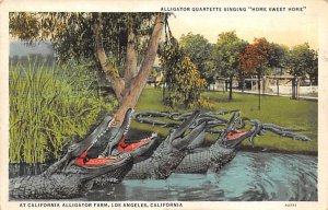 Alligator Singing Home Sweet Home At California Alligator Farm Los Angeles ...