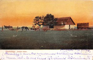 Lot124 gulyas  farm in Hortobagy  types horse carriage  hungary