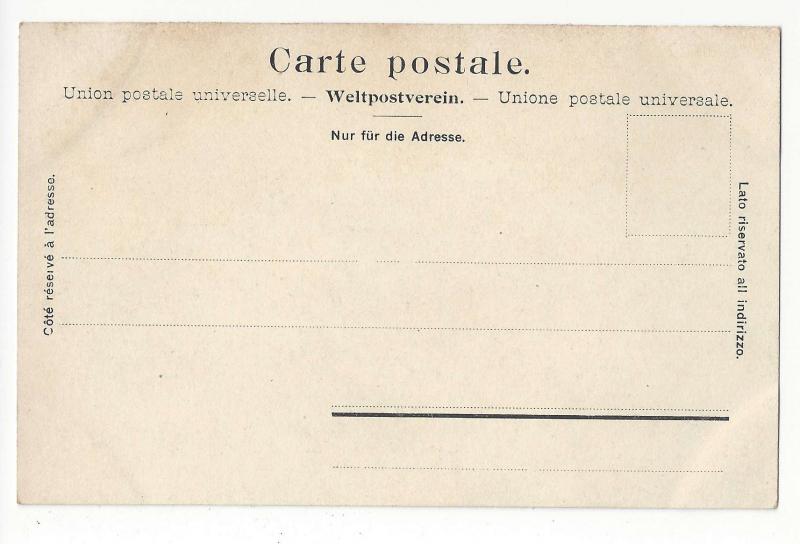 Switzerland Chateau Chillon Castle Dent du Midi Sailboat Vtg UDB Postcard c1905