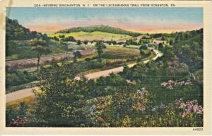 Near Binghamton NY On Lackawanna Trail From Scranton PA Vintage Postcard D21