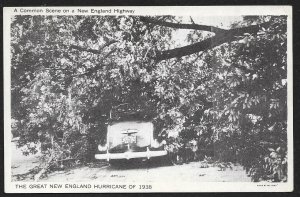 Car Off Road & Fallen Branches Great New England Hurricane 1938 Unused c1940s