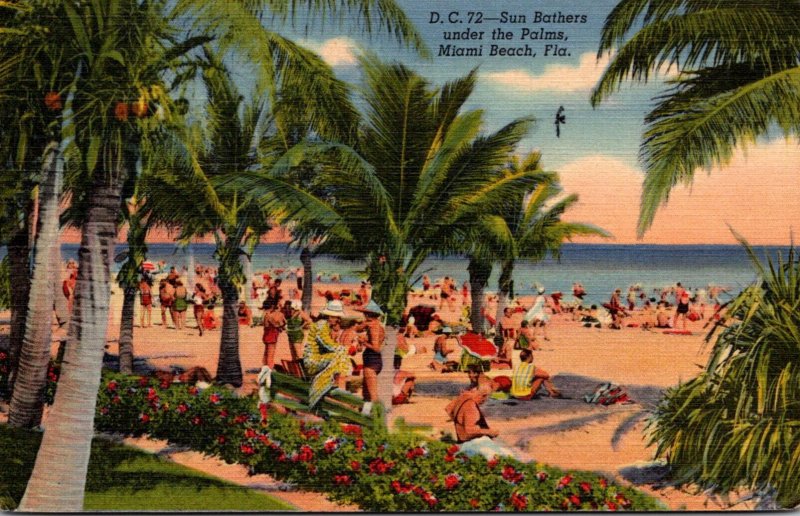 Florida Miami Beach Sun Bathers Under The Palms 1943 Curteich